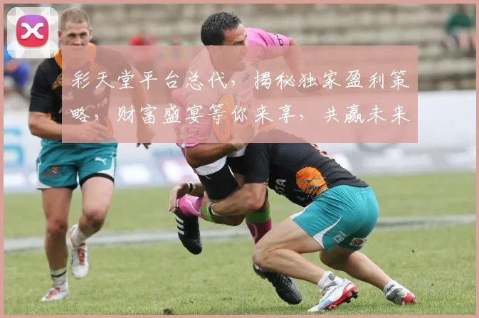 彩天堂平台总代，揭秘独家盈利策略，财富盛宴等你来享，共赢未来