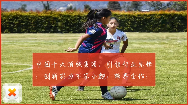 中国十大顶级集团，引领行业先锋，创新实力不容小觑，跨界合作，共赢未来